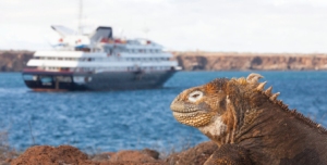 Silversea Galapagos Expedition